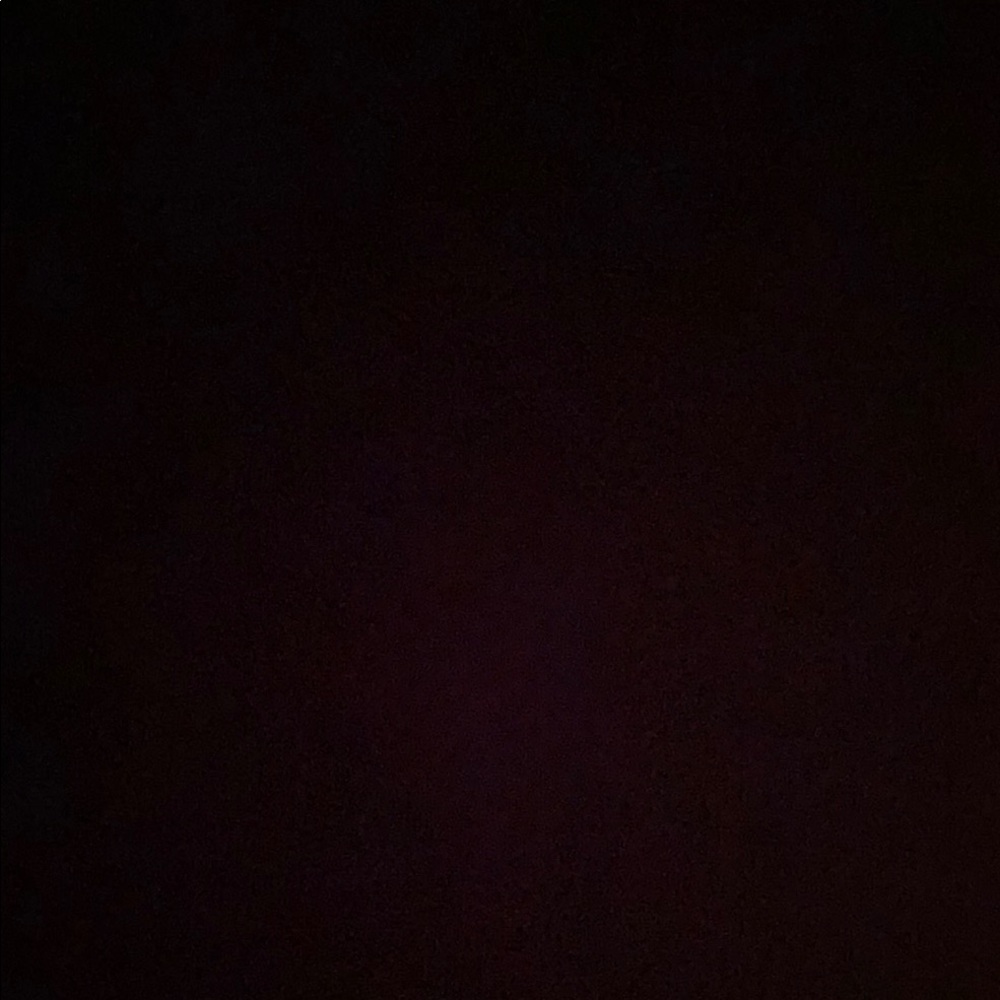 Lilly Pulitzer Colorful EASTER Plush Bunny - Picture 4 of 6